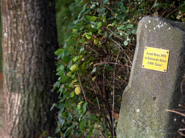 Basaltstele mit Beuys-Plakette neben Eichenstämmen und grünem Bewuchs in Nümbrecht