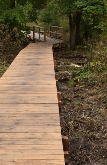 Holzsteg auf dem Lehrpfad Holz an der Abtei Marienmünster