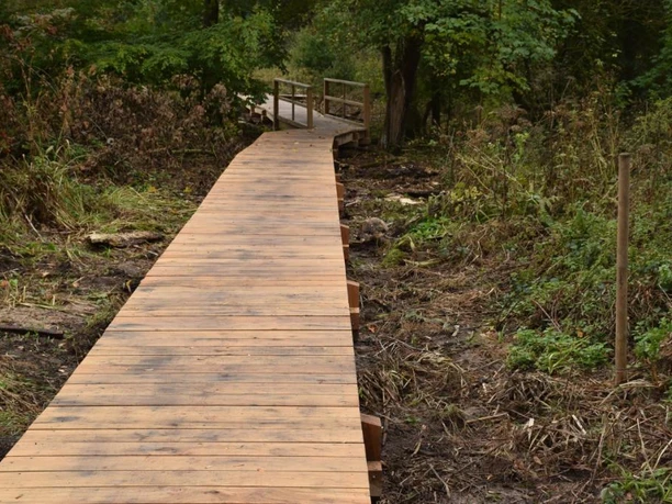 Holzsteg auf dem Lehrpfad Holz an der Abtei Marienmünster