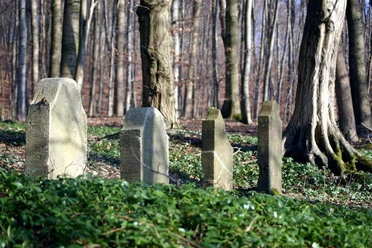 Fünf verwitterte Grabsteine stehen im düsteren, kahlen Wald, umgeben von Moos und altem Laub.
