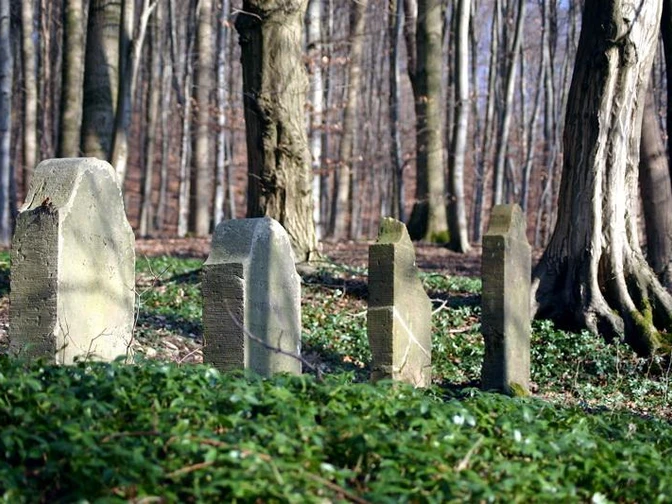 Fünf verwitterte Grabsteine stehen im düsteren, kahlen Wald, umgeben von Moos und altem Laub.