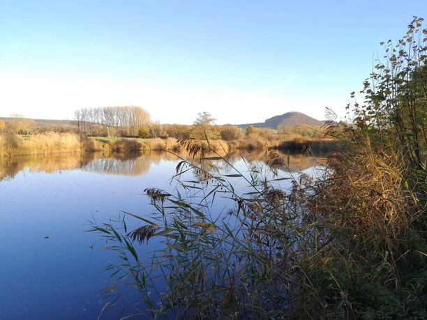 Ederaue Herbst_6