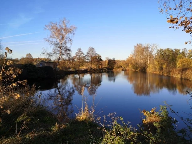 Ederaue Herbst_11