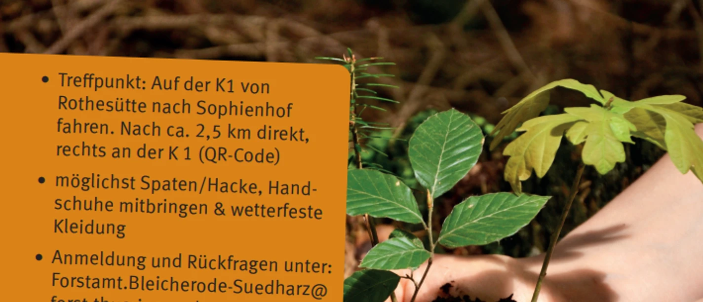 Pflanzaktion bei Sophienhof
