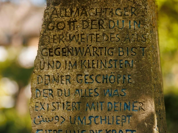 Moosbewachsener Sprechender Stein mit eingraviertem Text im grünen Außenbereich
