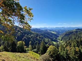 Aussicht vom Niederänzi