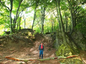 aufstieg-zum-fahnenstein-ith