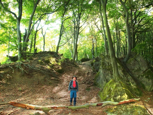 aufstieg-zum-fahnenstein-ith