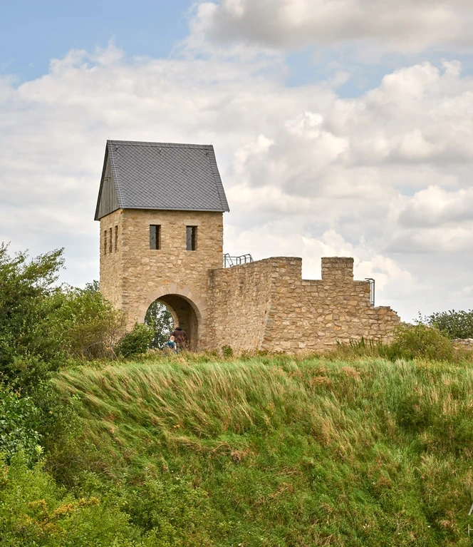 noerdliches-harzvorland-nhavo_4719.jpg noerdliches-harzvorland-nhavo_4719.jpg