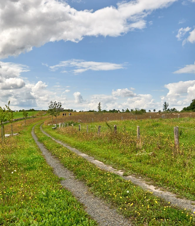 noerdliches-harzvorland-nhavo_4715.jpg noerdliches-harzvorland-nhavo_4715.jpg
