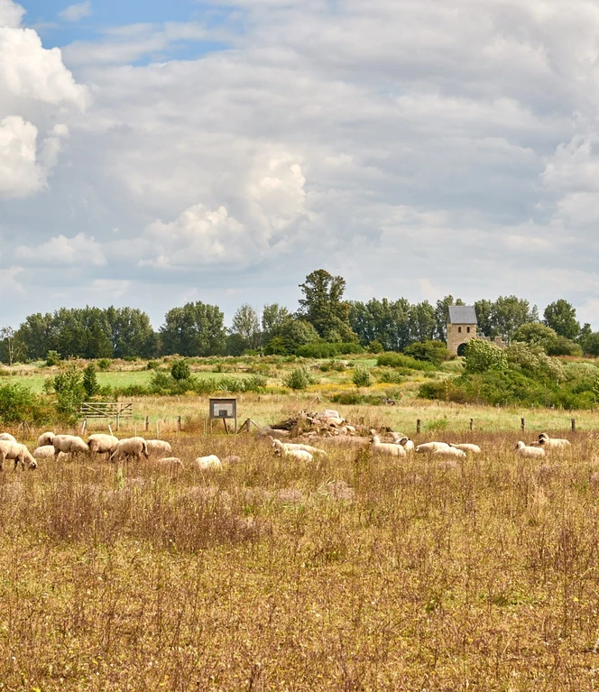 noerdliches-harzvorland-nhavo_4700.jpg noerdliches-harzvorland-nhavo_4700.jpg