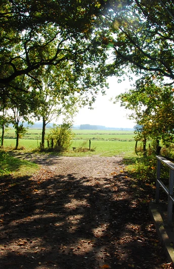 Moorhennies Blick in die Marsch Blick durch Bäume auf eine weite grüne Marschlandschaft unter einem klaren, sonnigen Himmel.View through trees onto a wide green marshland under a clear, sunny sky.Udsigt gennem træerne til et stort, grønt moseområde under en klar, solrig himmel.Uitzicht door de bomen op een uitgestrekt groen moerasland onder een heldere, zonnige hemel.