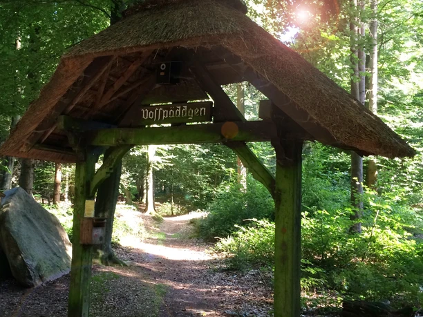 Houten poort in het bos met rieten dak onder bomen, zonlicht valt door het bladerdak.