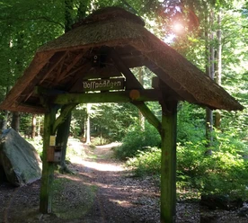 Waldlehrpfad Vosspäddken in der Erlebnisregion Artland Wooden gate in the forest with thatched roof under trees, sunlight falls through the canopy.