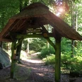 Waldlehrpfad Vosspäddken in der Erlebnisregion Artland Holztor im Wald mit Strohdach unter Bäumen, Sonnenlicht fällt durch das Blätterdach.