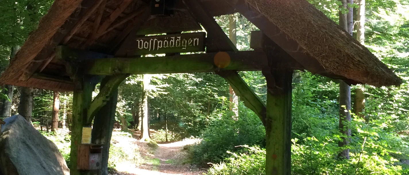 Waldlehrpfad Vosspäddken in der Erlebnisregion Artland Wooden gate in the forest with thatched roof under trees, sunlight falls through the canopy.