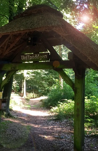 Waldlehrpfad Vosspäddken in der Erlebnisregion Artland Holztor im Wald mit Strohdach unter Bäumen, Sonnenlicht fällt durch das Blätterdach.Wooden gate in the forest with thatched roof under trees, sunlight falls through the canopy.Træport i skoven med stråtag under træerne, sollyset falder gennem baldakinen.Houten poort in het bos met rieten dak onder bomen, zonlicht valt door het bladerdak.
