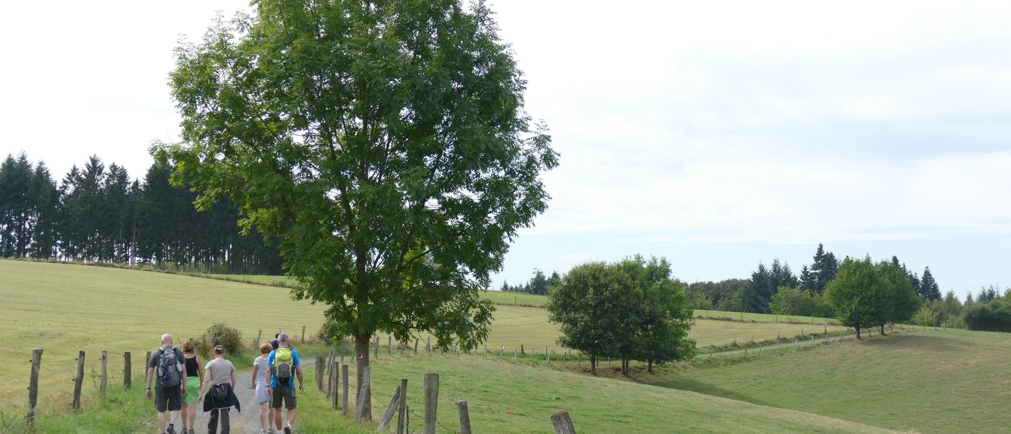 Wanderweg bei Mierscheid