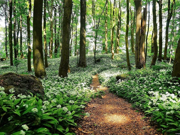 ith-hils-wandern_fr-hling