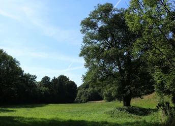 das-liebliche-waltersbachtal
