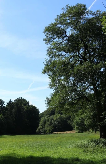 das-liebliche-waltersbachtal