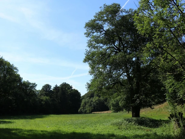 das-liebliche-waltersbachtal