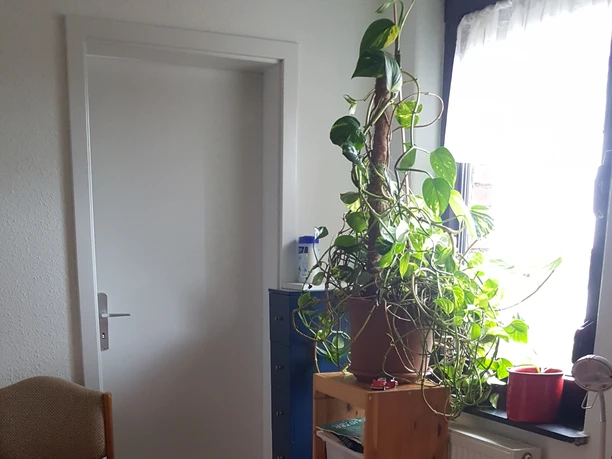 Eingangsbereich Zimmer.jpg Eingangsbereich Zimmer.jpg