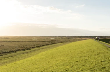 Spiekeroog_Therapiewege_Dorfweg_PK.png Deichweg auf Spiekeroog mit Ausblick auf weite Salzwiesen und Spaziergängern im goldenen Licht.