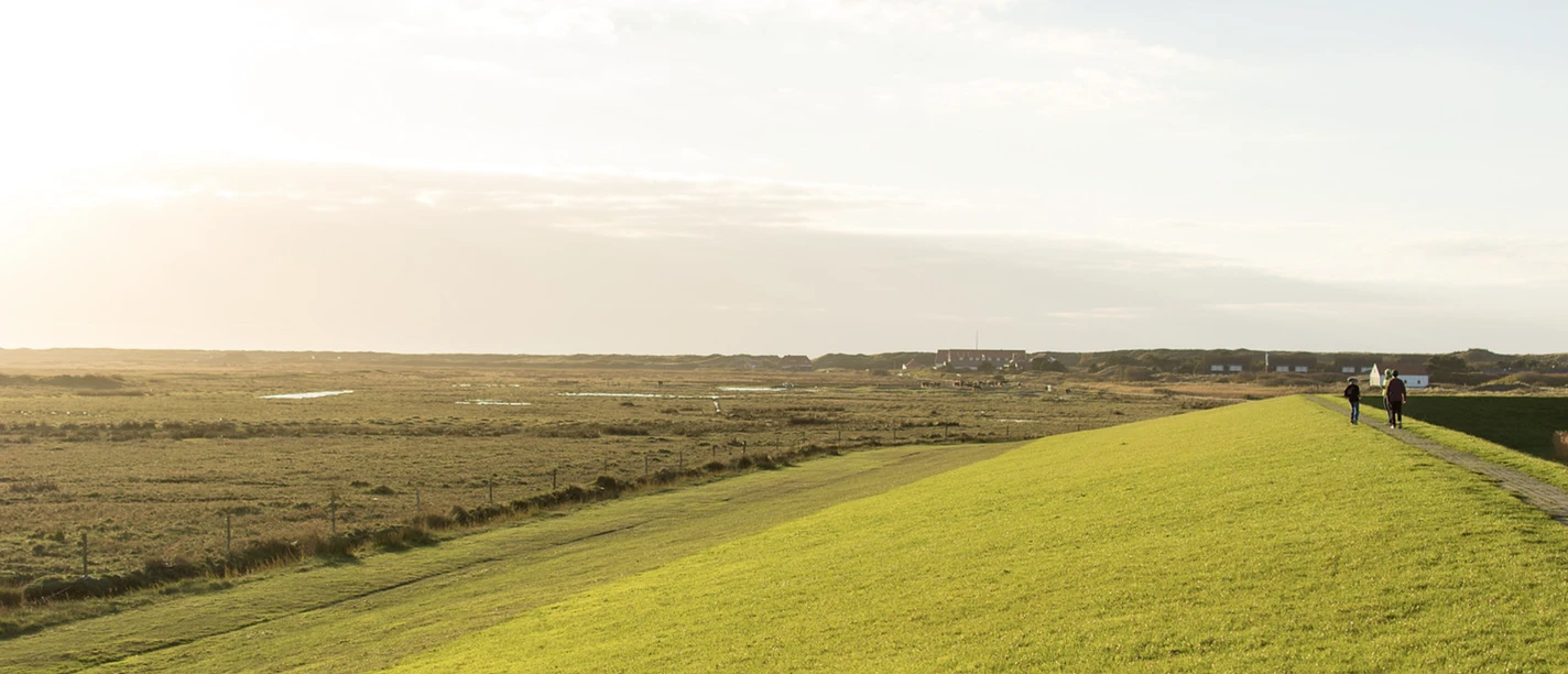 Spiekeroog_Therapiewege_Dorfweg_PK.png Deichweg auf Spiekeroog mit Ausblick auf weite Salzwiesen und Spaziergängern im goldenen Licht.