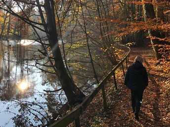 Rundweg No. 3 im Wandergebiet Billkuhle in Berge Eine Person spaziert im Herbst entlang eines baumbestandenen Sees, Sonnenlicht reflektiert.