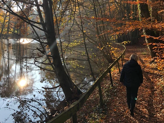 Rundweg No. 3 im Wandergebiet Billkuhle in Berge Eine Person spaziert im Herbst entlang eines baumbestandenen Sees, Sonnenlicht reflektiert.A person walks along a tree-lined lake in the fall, sunlight reflected.En person går langs en sø med træer om efteråret, mens sollyset reflekteres.Een persoon loopt langs een met bomen omzoomd meer in de herfst, zonlicht weerspiegeld.