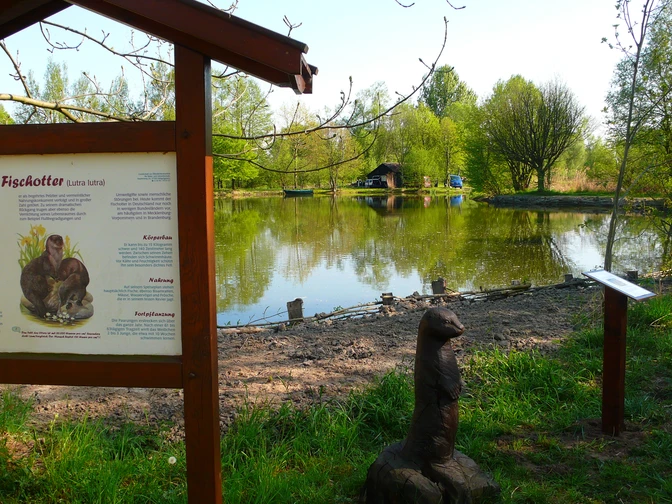 Hinweistafel Fließgewässer OkerOker watercourse information boardInformationstavle om Oker-vandløbetOker waterloop informatiebord