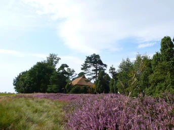 Schafstall am Heiligen Hain nahe Wahrenholz