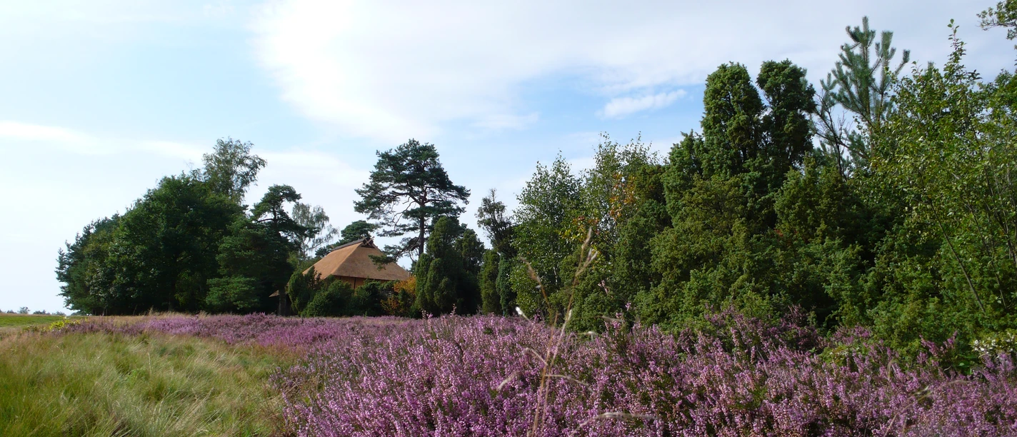 Schafstall am Heiligen Hain Schafstall am Heiligen Hain nahe Wahrenholz
