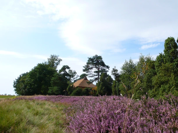 Schafstall am Heiligen Hain Schafstall am Heiligen Hain nahe Wahrenholz