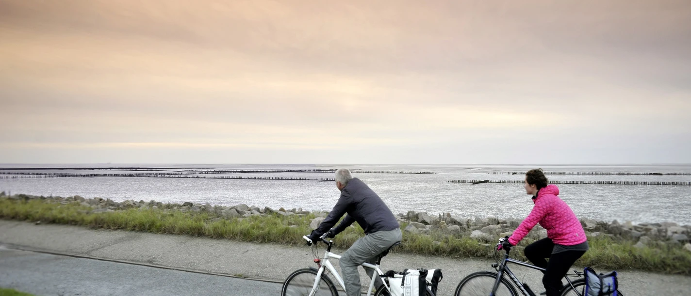 radtour-nordsee-deichtour-wesselburen-dithmarschen-tourismus