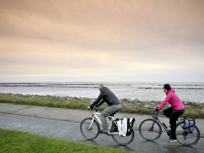 radtour-nordsee-deichtour-wesselburen-dithmarschen-tourismus