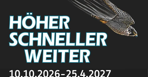 Teaserbild-HSW-7.png