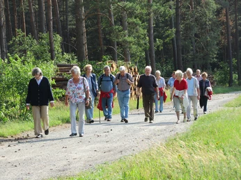 Sagen- und Geschichtslehrpfad - Führung Wandergruppe auf dem Sagen- und Geschichtslehrpfad Ehra-Lessien