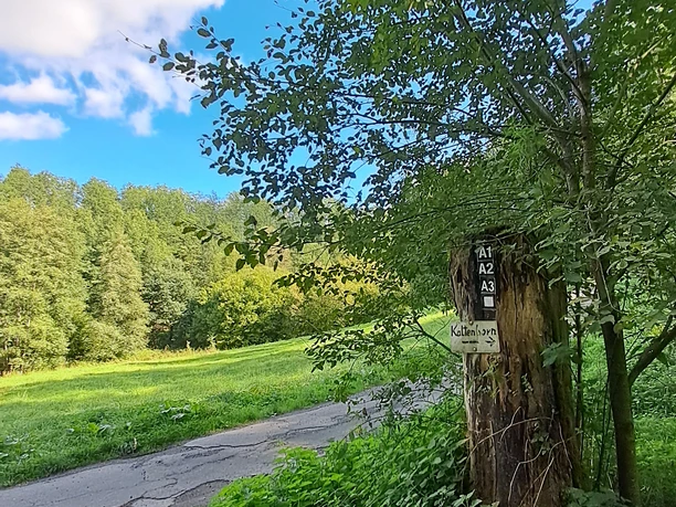 Wegweisung Wegweisung