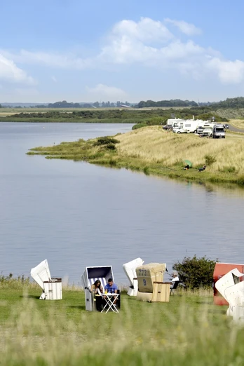 Natur pur im Speicherkoog