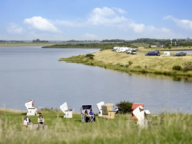Natur pur im Speicherkoog