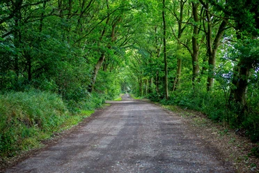 Rundum Heide