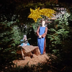 Beleuchtete Krippenszene mit Maria, Josef und Stern zwischen Tannengrün beim Winterfest