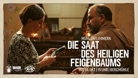 fb_ver_mühlenflimmern