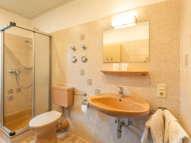 Ferienhaus zur Schlade, Bad Bad im Ferienhaus Zur Schlade mit Dusche, WC, Waschbecken, Spiegel und Handtüchern