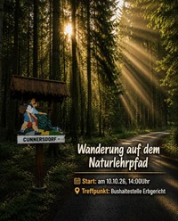 man sieht einen Wegweiser in einem sonnendurchfluteten Wald