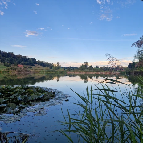 Weiherlandschaft Ostergau (1).jpg