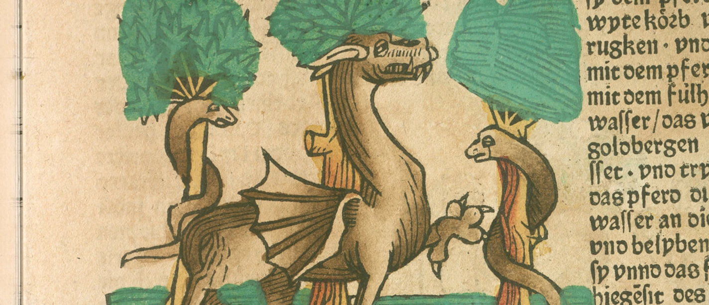 Drachen. Mythos und Wirklichkeit Historische Buchillustration mit drei Drachen zwischen grünen Bäumen und gotischer Schrift
