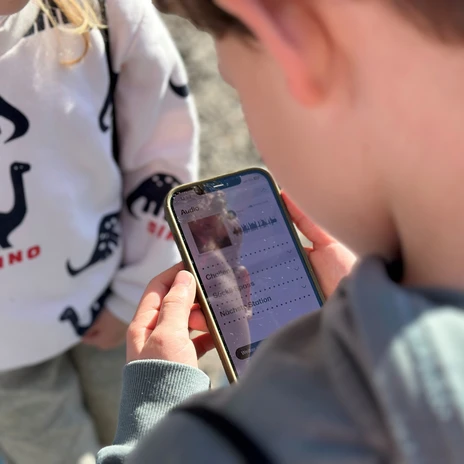 Dorfgeschichten Sarnen digital